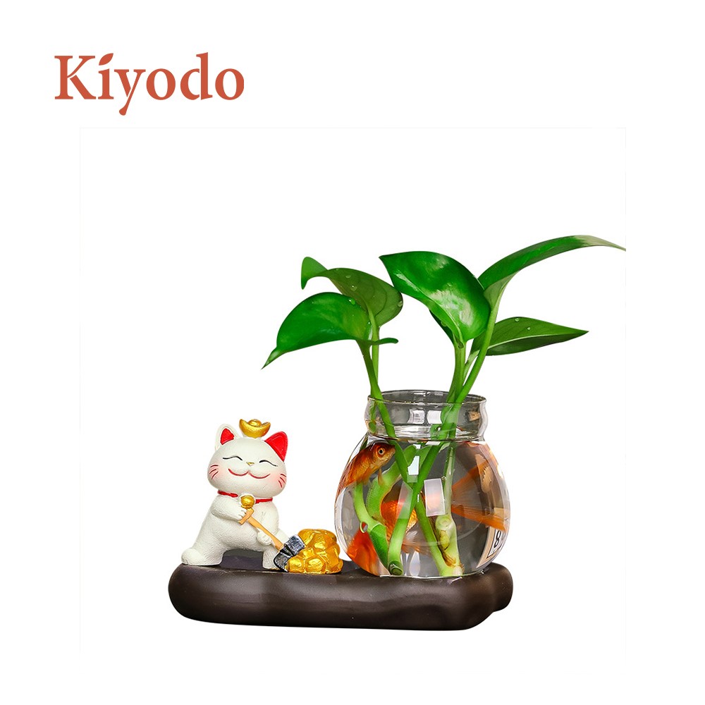 Kiyodo招財貓水培植物擺件