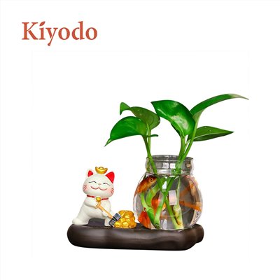Kiyodo招財貓水培植物擺件
